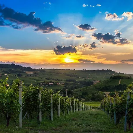 Home Sweet Langhe - Authentic Langhe Stay *