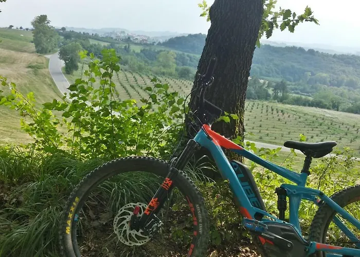 Διαμέρισμα - Sweet Langhe - 51